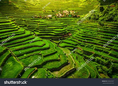 Banaue Rice Terraces Pictures, Images and Stock Photos.